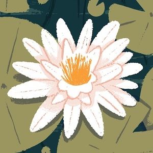 Meet your Posher, Chloe